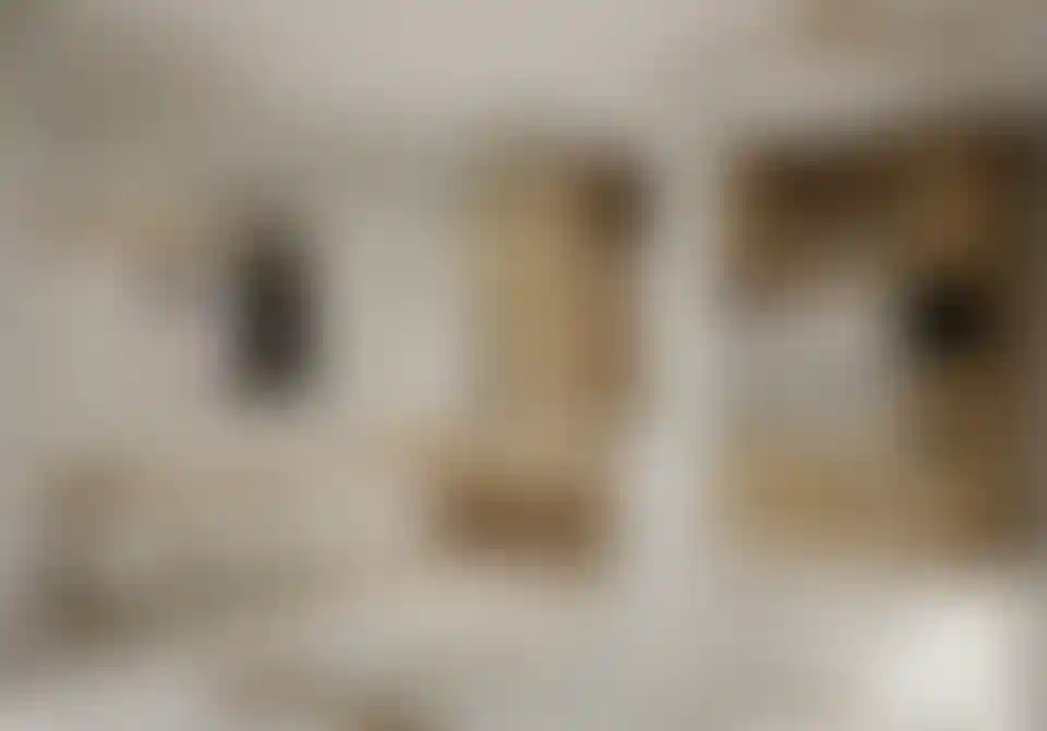 image for main block