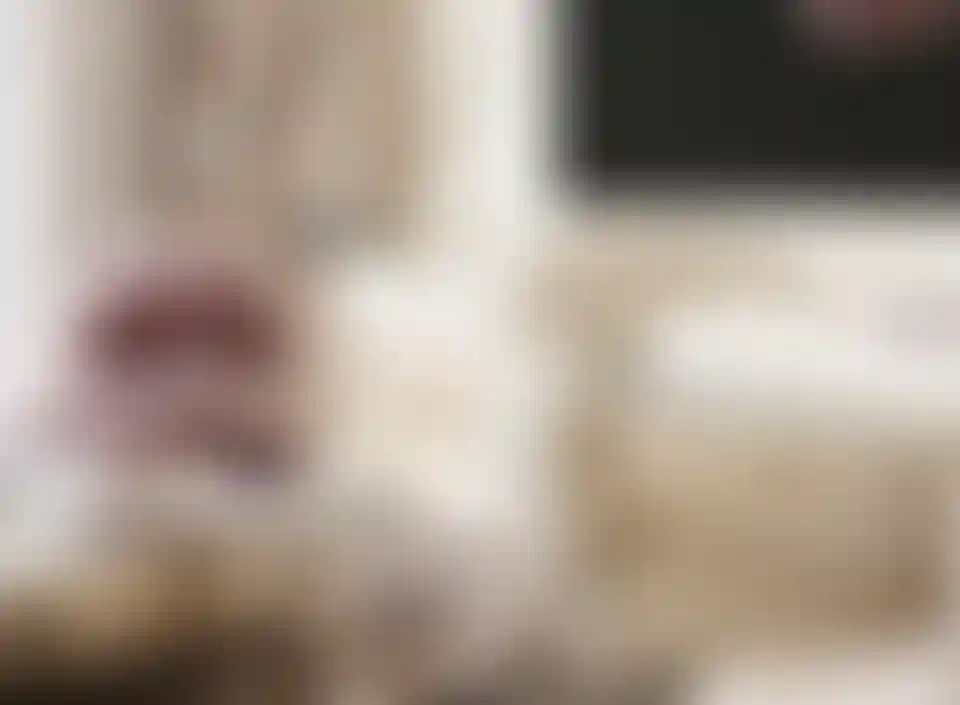 image for main block