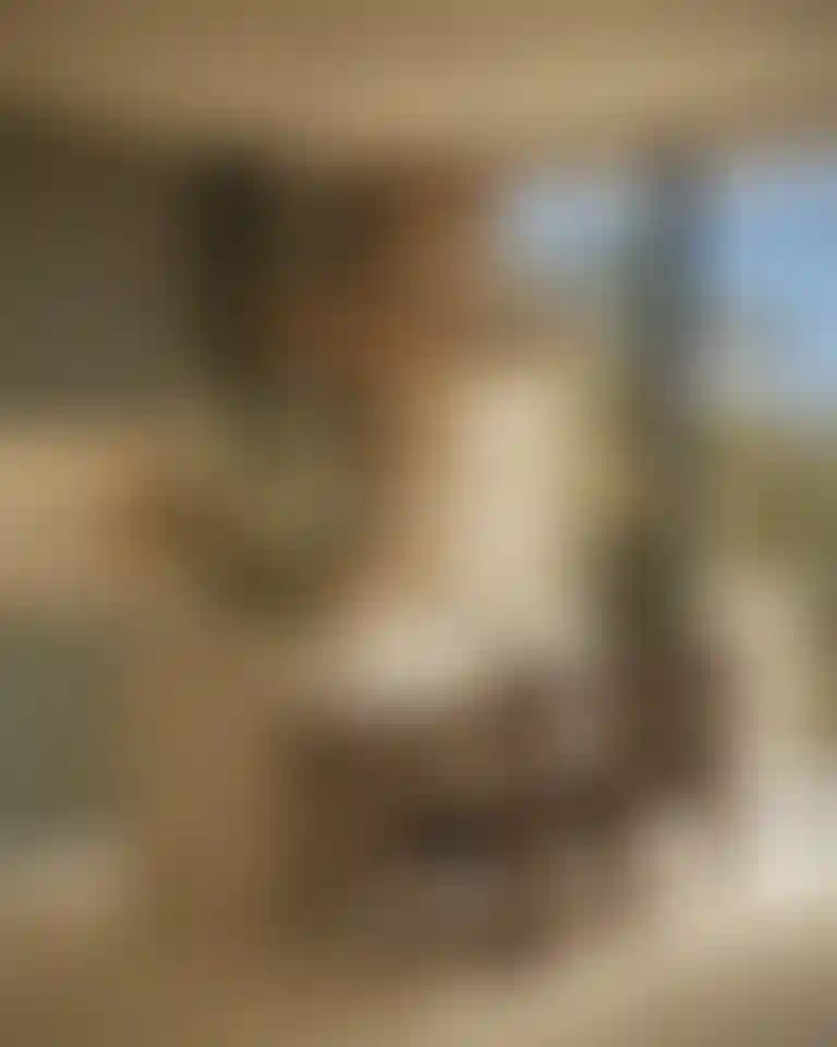 image for main block