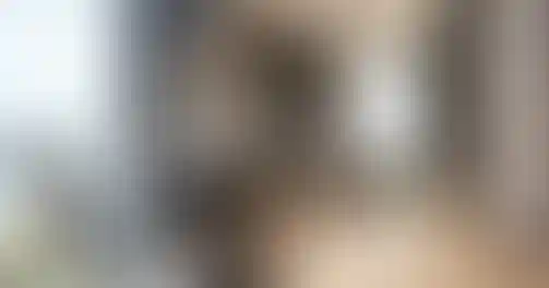 image for main block