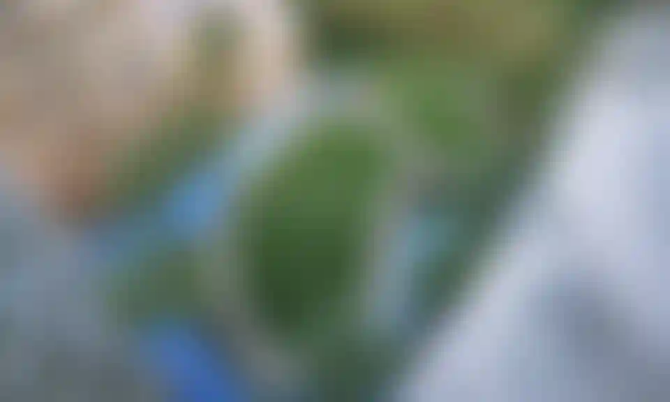 image for main block