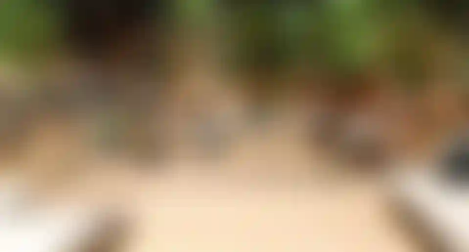 image for main block