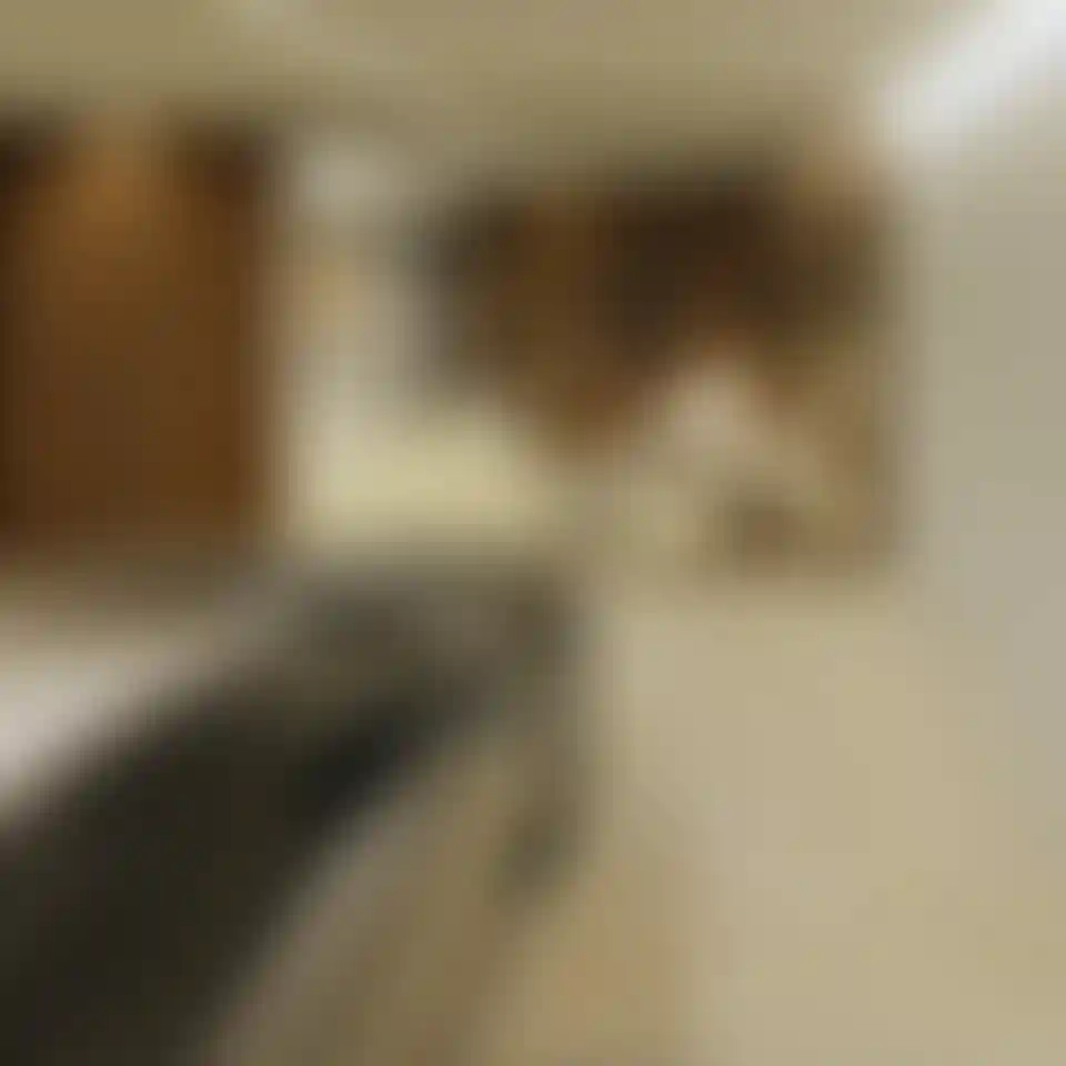 image for main block