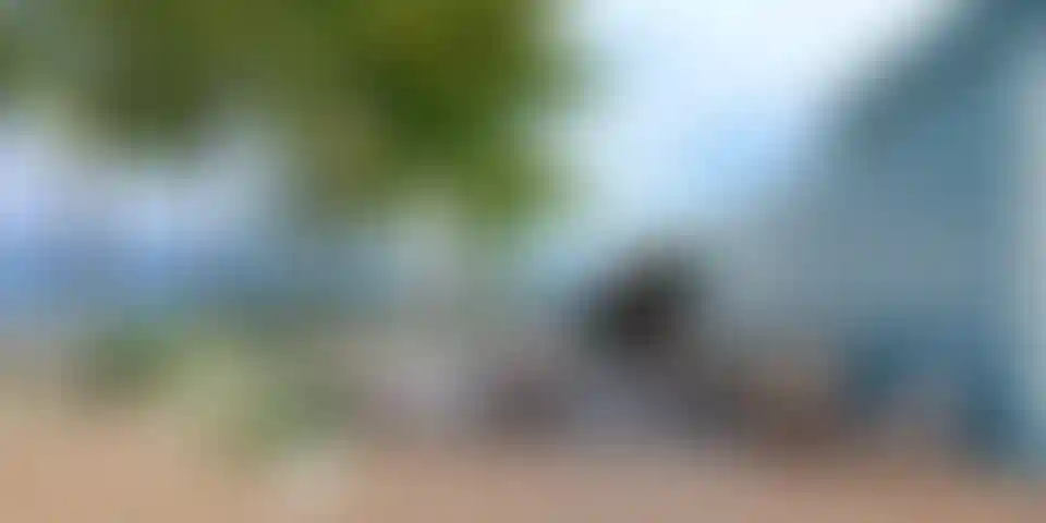 image for main block