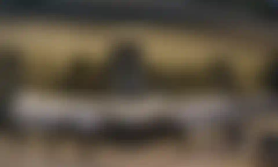 image for main block