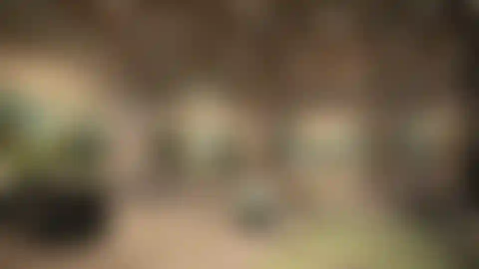 image for main block