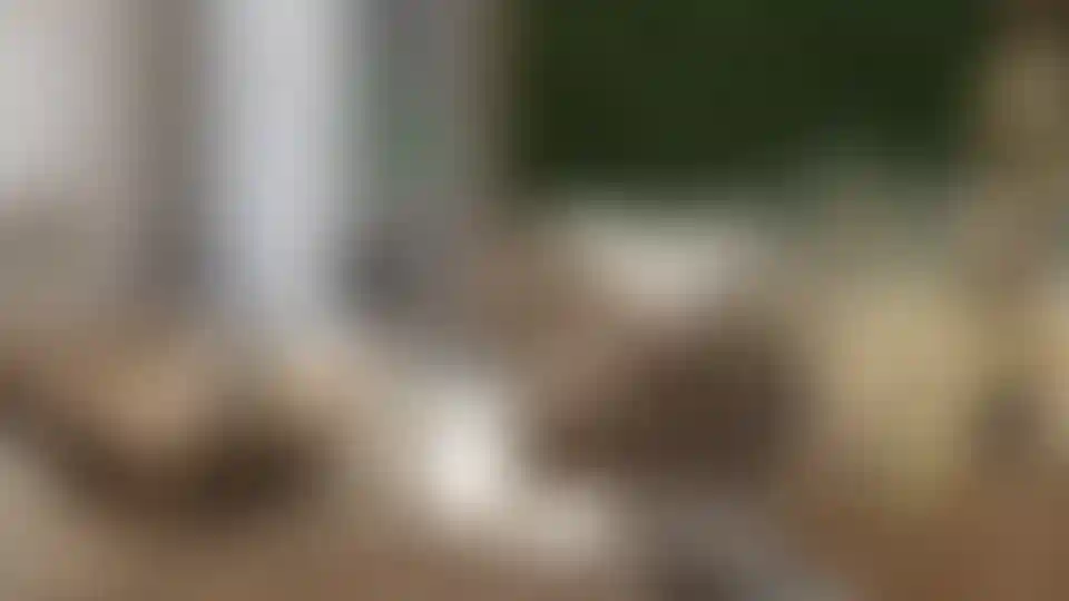 image for main block