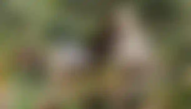 image for main block