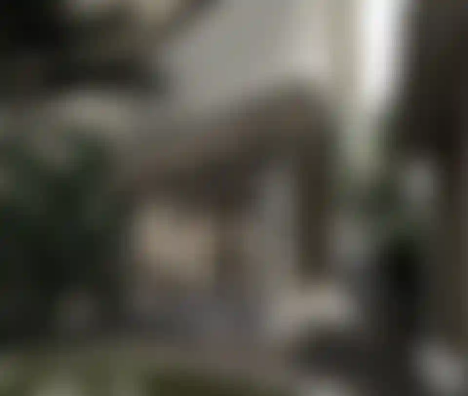 image for main block