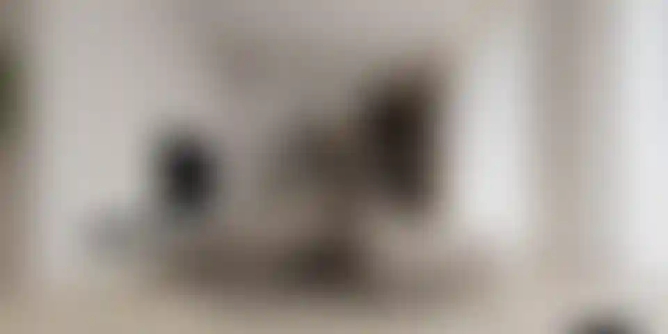 image for main block