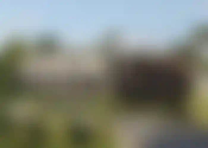 image for main block