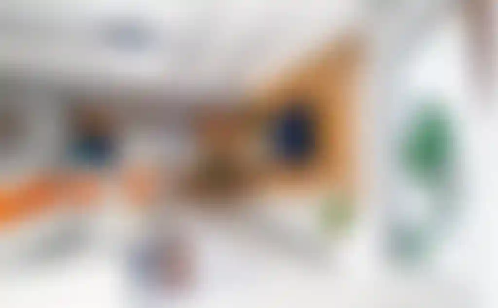 image for main block