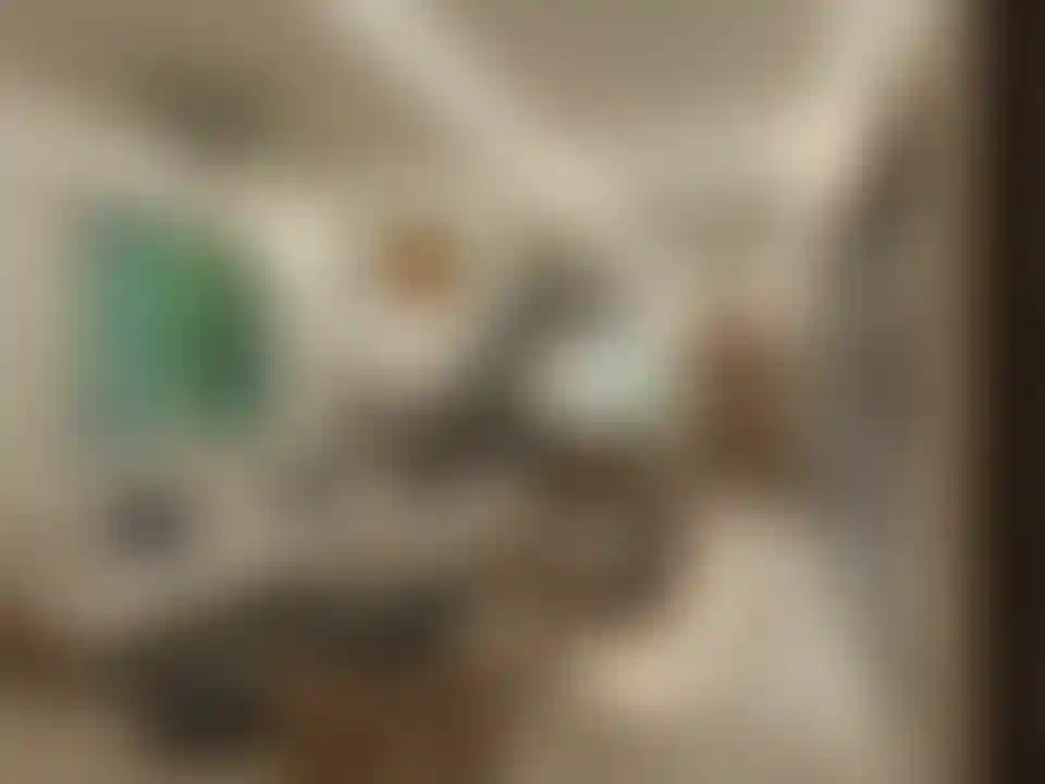 image for main block