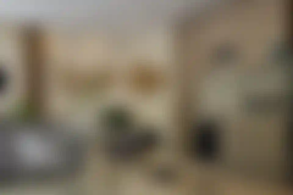 image for main block