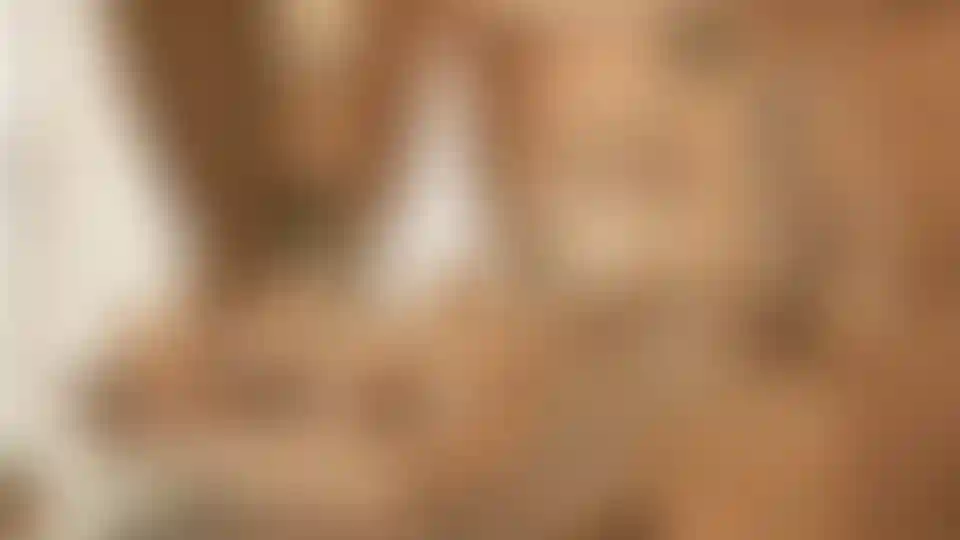 image for main block