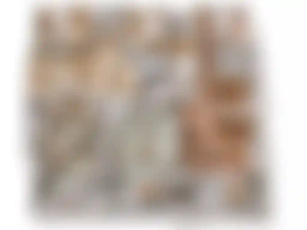 image for main block