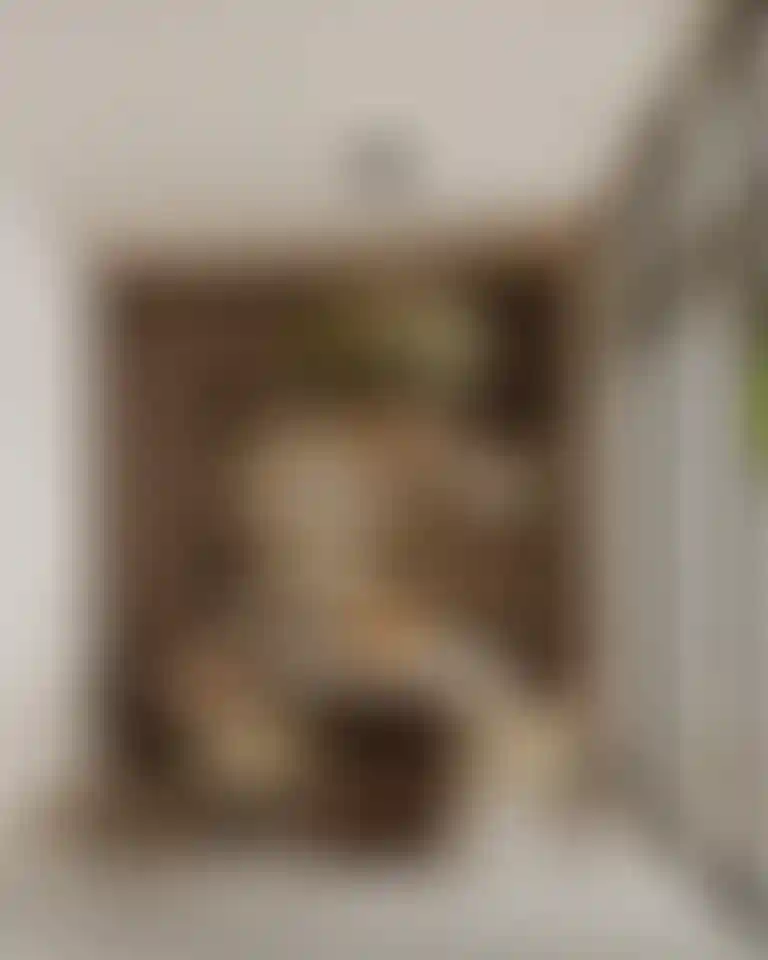 image for main block