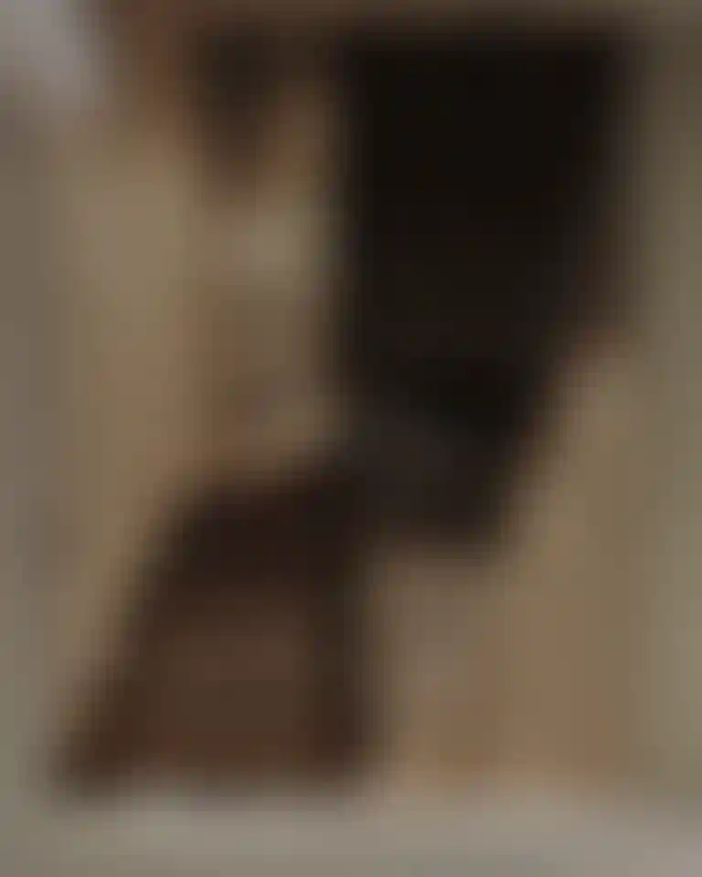 image for main block