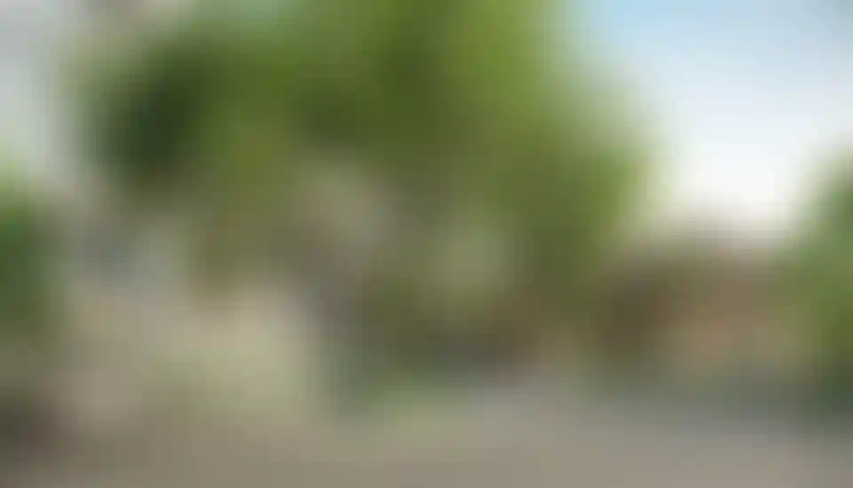 image for main block