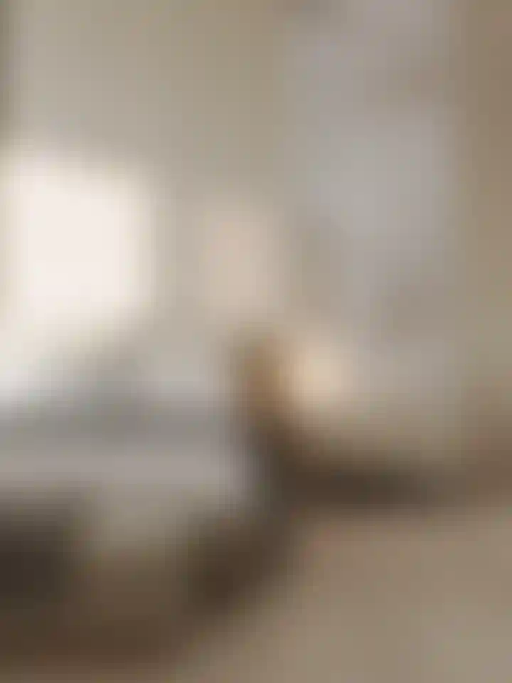 image for main block