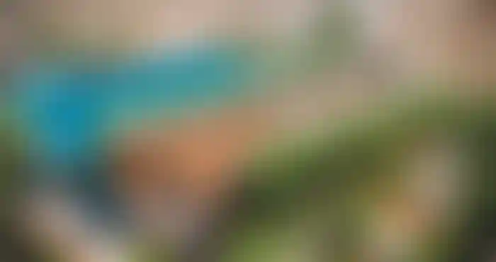 image for main block