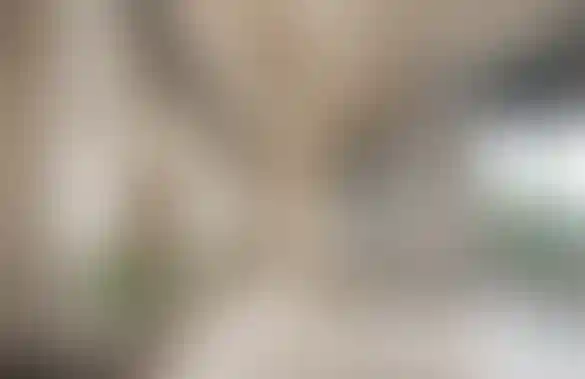 image for main block