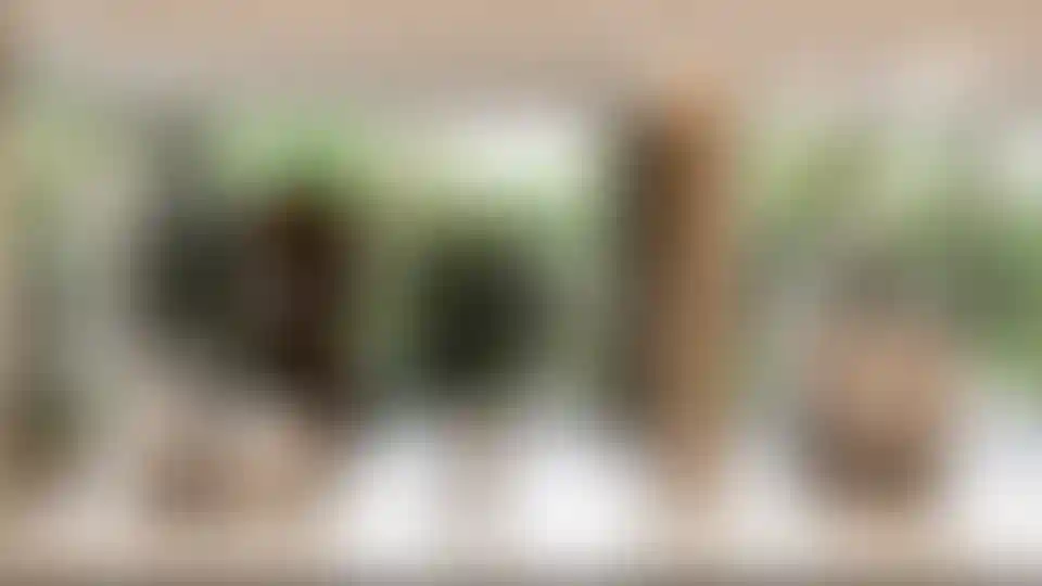 image for main block