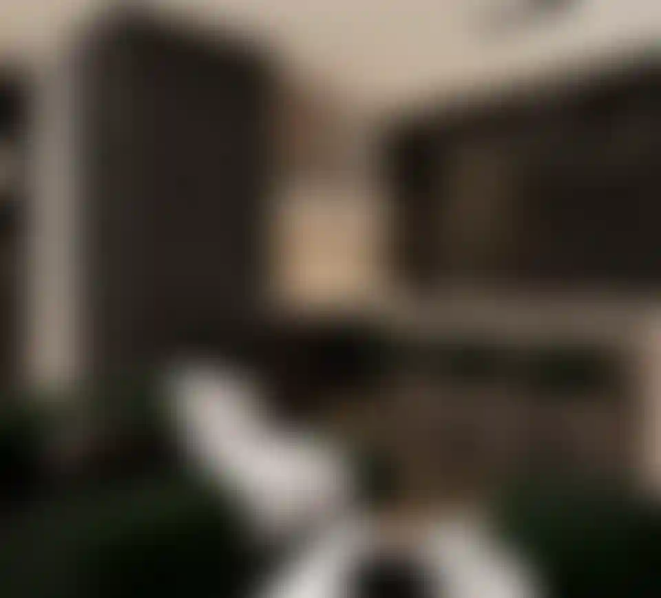 image for main block