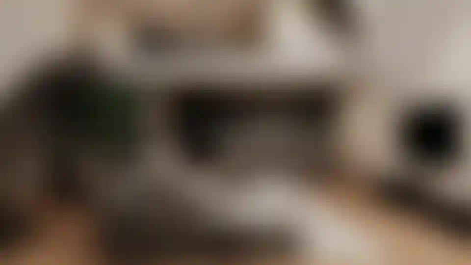 image for main block