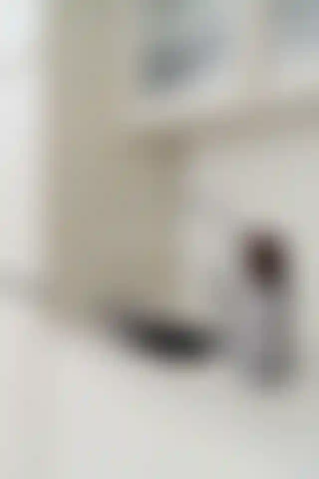 image for main block