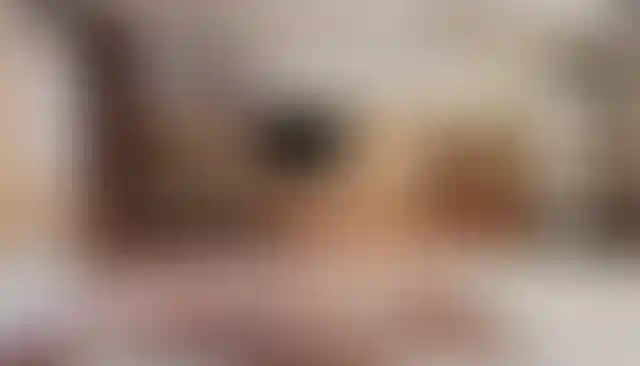 image for main block