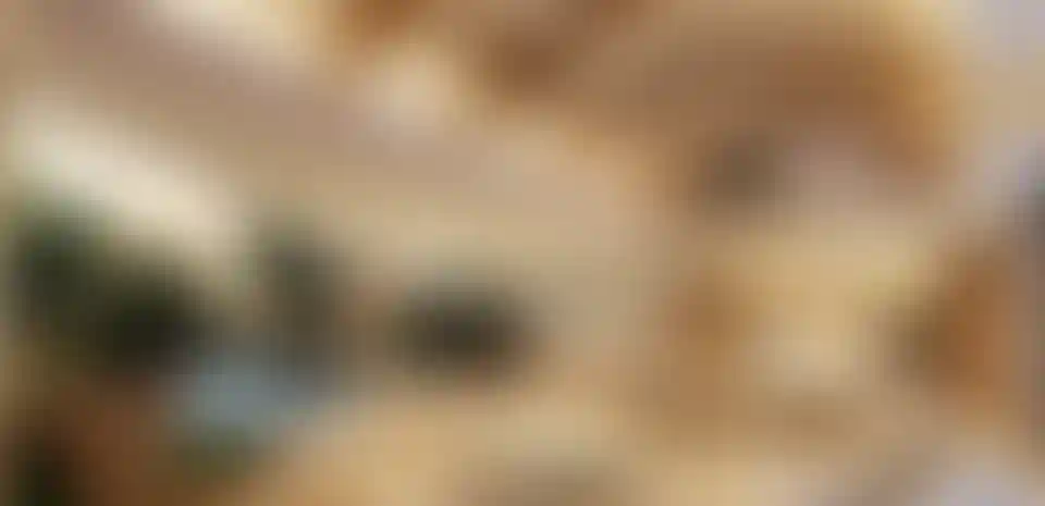 image for main block