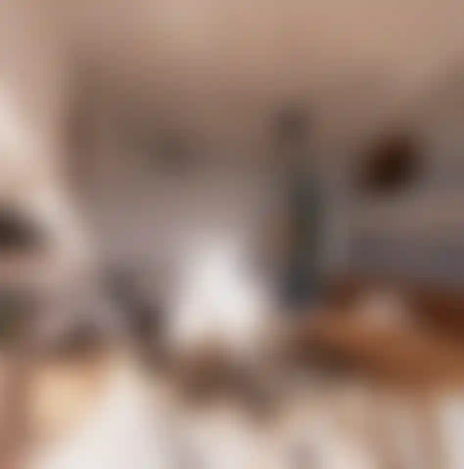 image for main block