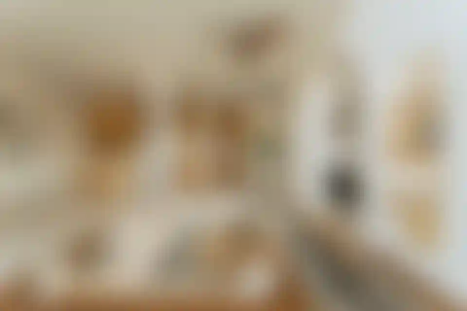 image for main block