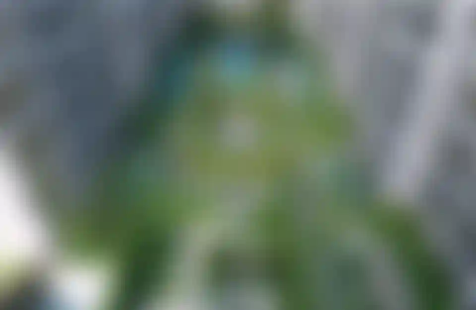 image for main block