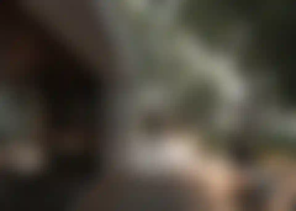 image for main block