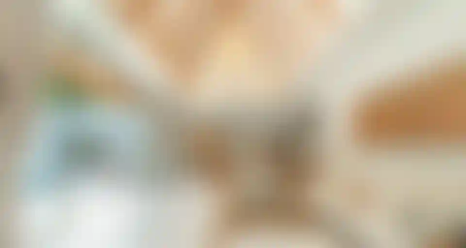 image for main block