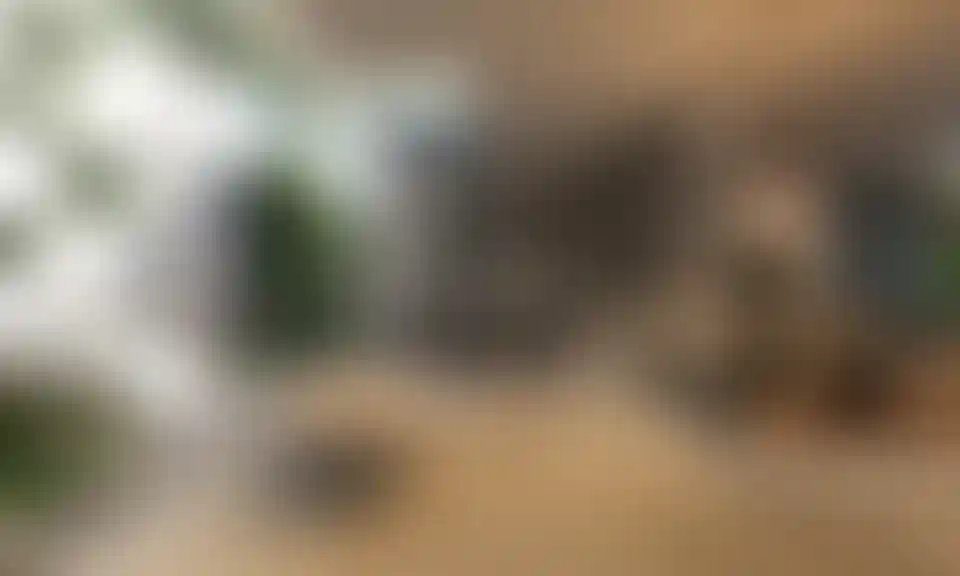 image for main block