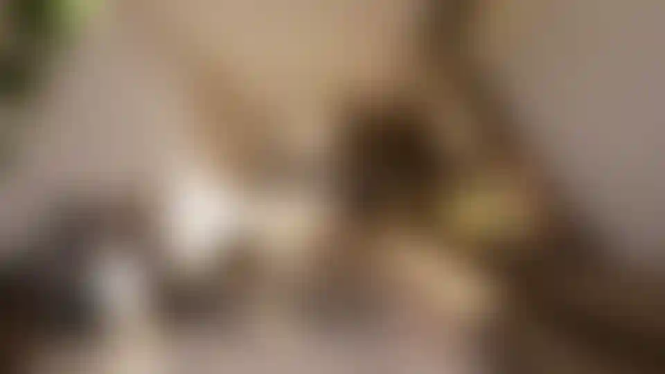 image for main block