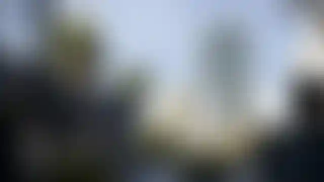 image for main block