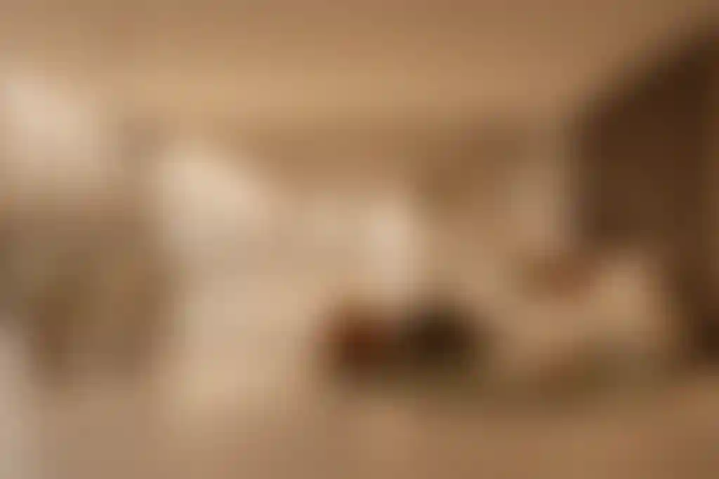 image for main block