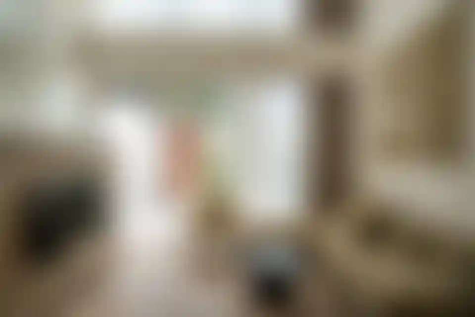 image for main block