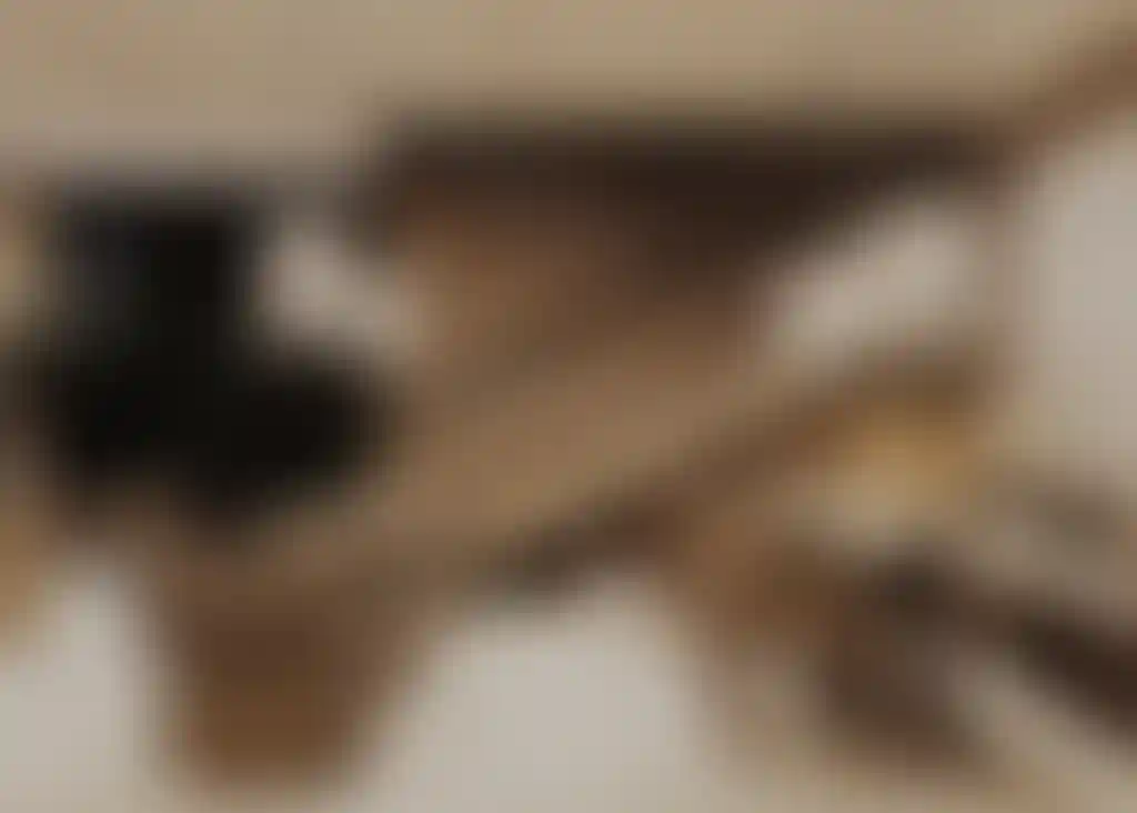 image for main block