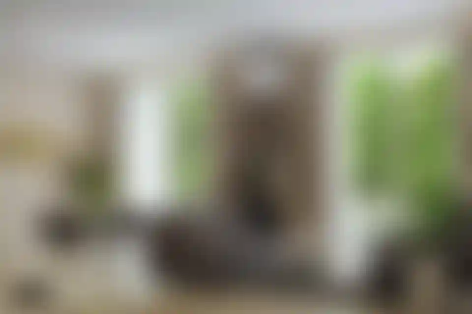 image for main block