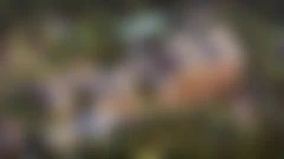 image for main block