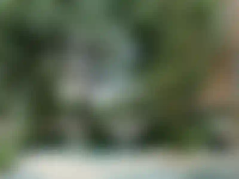 image for main block