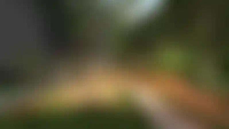 image for main block