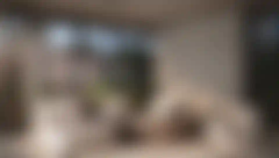 image for main block