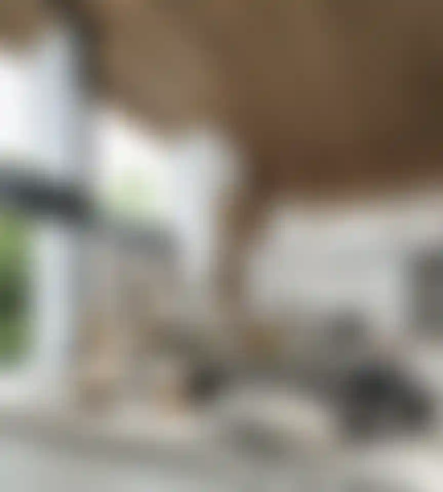 image for main block