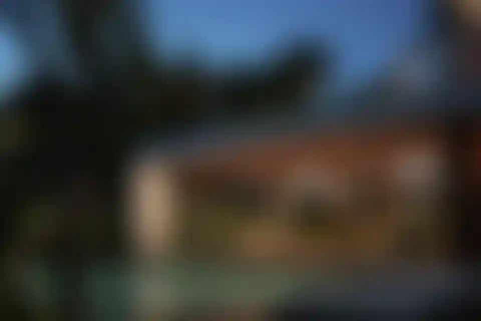 image for main block